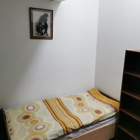 Noclegi Piotrkow Tryb Piotrków Trybunalski エクステリア 写真