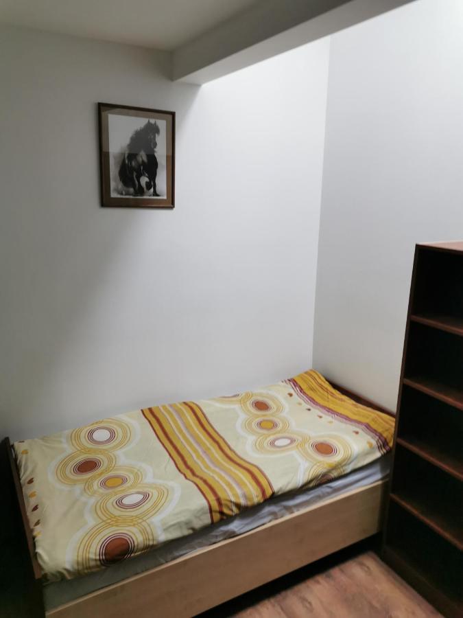 Noclegi Piotrkow Tryb Piotrków Trybunalski エクステリア 写真